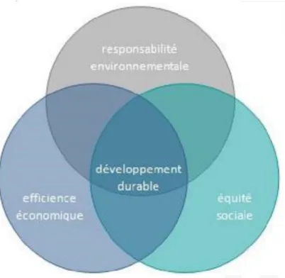 Figure 5 : Les trois piliers du développement durable 