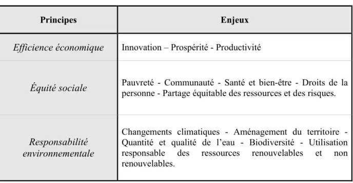 Tableau 1 : Principaux enjeux du développement durable 