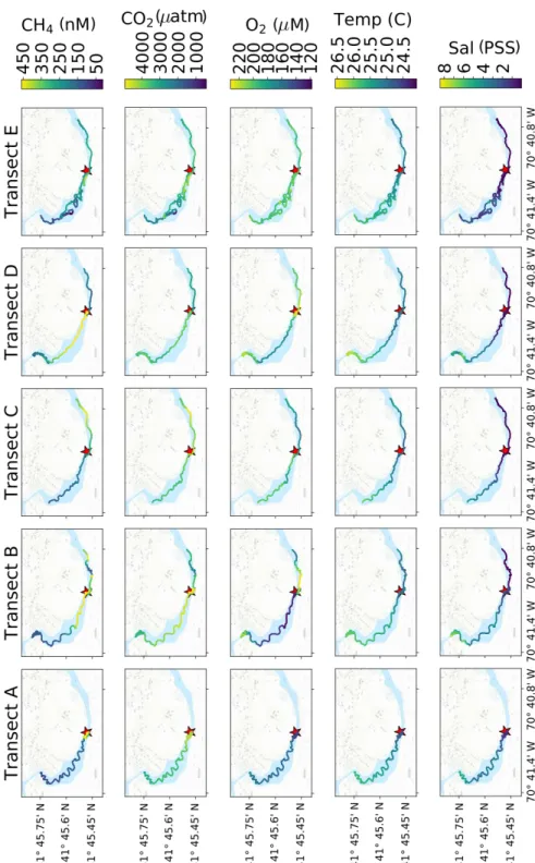 Figure 3-3: Wareham River ChemYak transects Individual transects are plotted on a representative map of the field site, colored by observed attributes