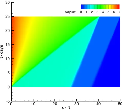 Figure 3-6: Numerical adjoint solution for output 