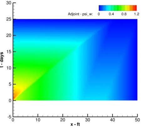 Figure 3-11: Numerical adjoint solution 