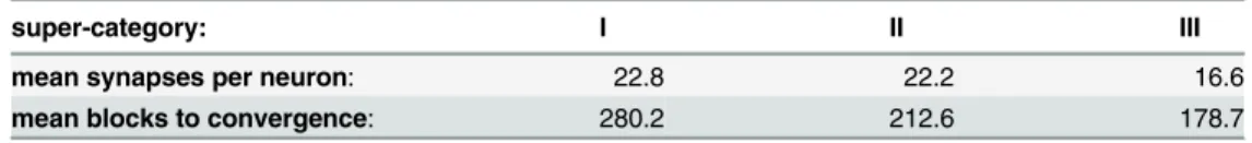 Table 4. Synapses and convergence.