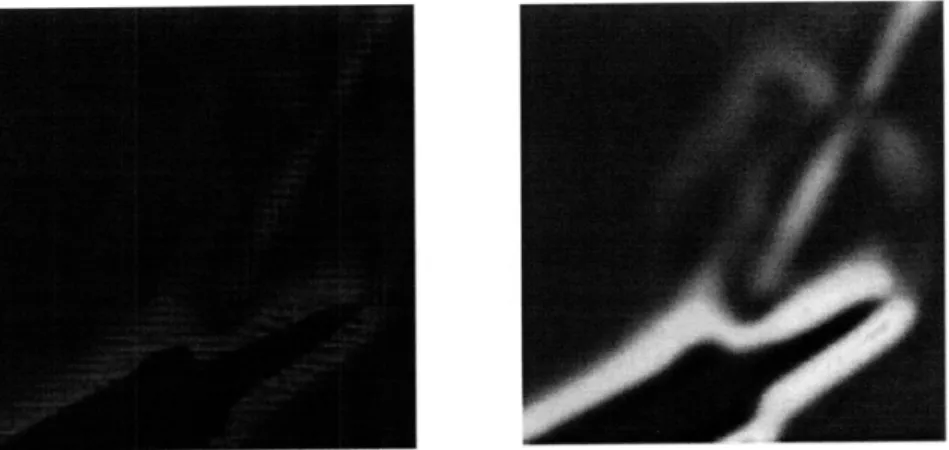 Figure 5:  a). The  image produced by  subtracting the perturbed image from the horizontally lined reference image.