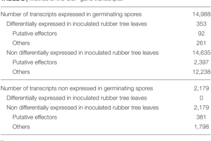 TABLE 2 | Metrics of the CCP gene transcripts.