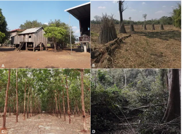 Figure 2. Example of the main environments within the study area. (A) Built-up area in a village