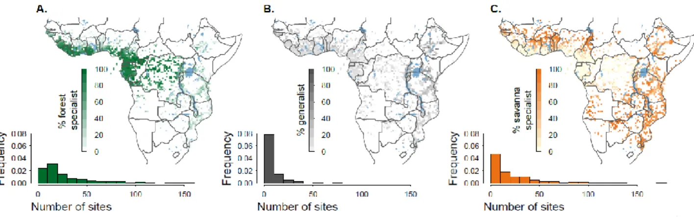 Figure 2. Distribution of forest specialist, generalist, and savanna specialist tree species