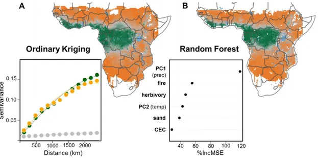 Figure 4. Spatial and environmental predictions of the biome index.We predicted the distribution of the biome  index across the climatic space covered by the floristic surveys using (A) spatial information only vs (B) a  random forest approach based on env