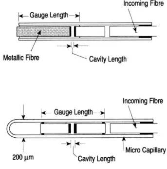 Figure 9: Fabry-Perot  Sensors,  Compensated  (top),  Non-Compensated  (bottom)  [52]
