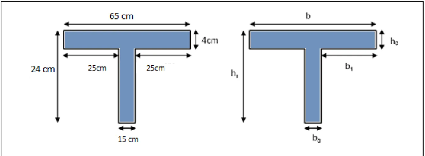 Figure II.2   Schéma d’une poutrelle  h t  : La hauteur de la nervure h t  = 24 cm 