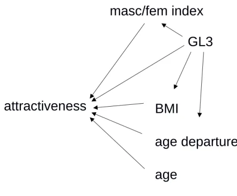 Figure 2.  Hypothesised path model to explain attractiveness with the variables of the generalised linear mixed model