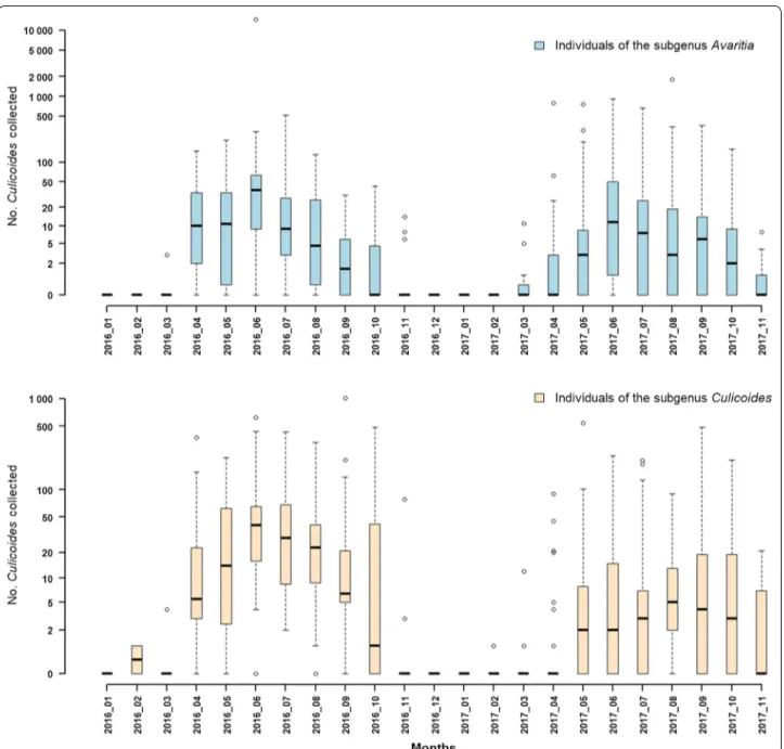 Fig. 4  Seasonal abundance of the subgenera Avaritia and Culicoides in 2016–2017