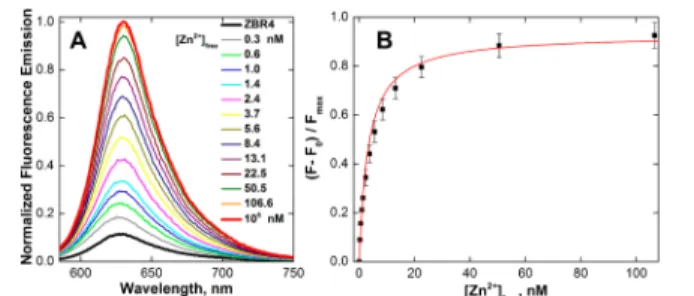 Figure 2. Fluorescence microscopy of live HeLa cells incubated with 1 μM ZBR4 and 10 μM Hoechst 33258 at 37 °C for 15 min