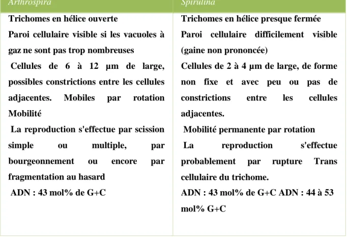 Tableau 2 : Différences morphologiques entre Spirulina et  Arthospira  (Fox, 1999) 