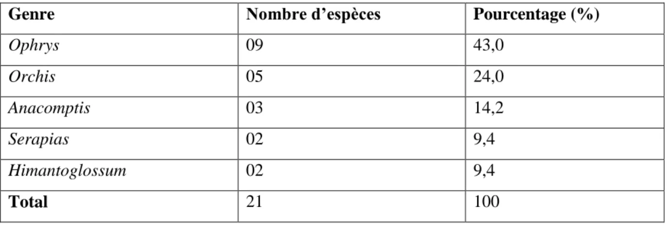 Tableau 7 : Nombre d’espèces par genre.  