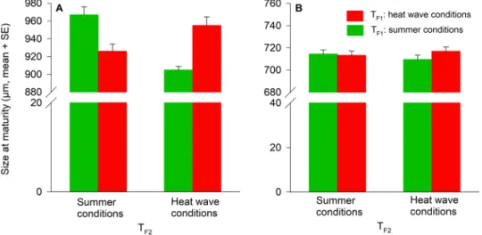Figure 3.  Temperature effects (T F1 , T F2 ) during juvenile development on size at maturity of A