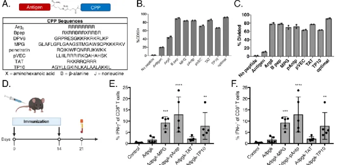 Figure 3.1 Conjugation to various CPPs increases T cell activation in vitro and improves  immunogenicity  of  vaccine  antigens