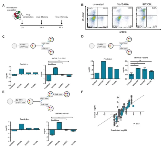 Fig. 2. In vitro validation of predicted effects of combination therapies on subpopulation composition