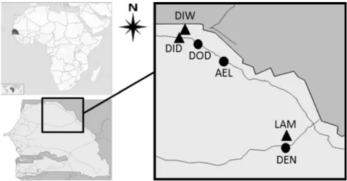 Fig. 1 Geographic location of the six sampling sites in North Senegal. Circles and triangles are used to indicate, respectively, previously invaded sites (where the exotic house mouse arrived just before 2013 and co-existed in stable populations with nativ