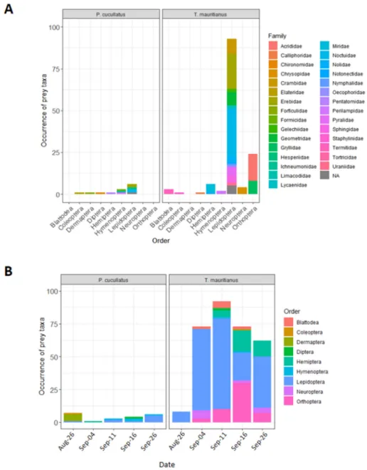 Figure 3. (A) Diet composition of insectivorous birds (Ploceus cucullatus) and bats (Taphozous  mauritianus) inferred from DNA sequences detected in fecal samples