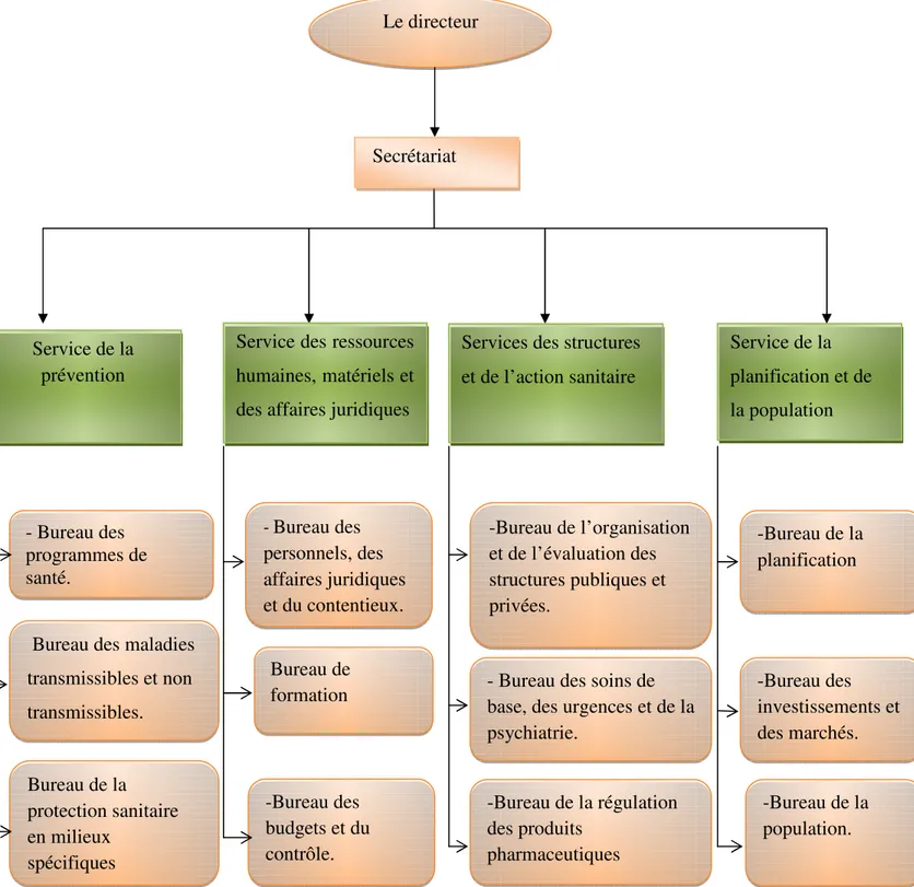 Figure 4: Organigramme de la Direction de la Santé et de la Population (DSP, 2018). 