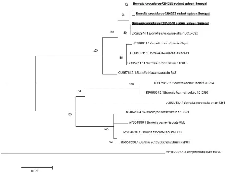 Figure 4. Maximum-likelihood phylogenetic tree of Hepatozoon spp, including new genotypes from this study based on partial 620-bp 18S gene.