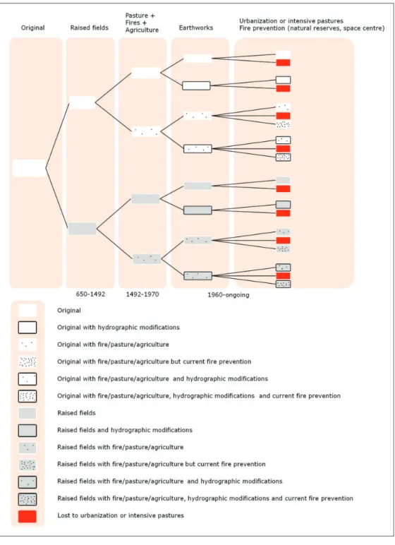 Figure 4. Paths of human-induced modifications in French Guiana’s savannas.