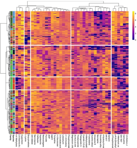 Figure 2.  Heatmap-clustering analysis of the metabolites identified in the foliar metabolomes of families and  species