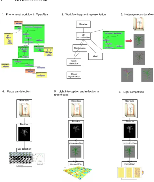 Fig. 1: Use cases in Plant Phenotyping. The different use cases are based on the OpenAlea SWfMS
