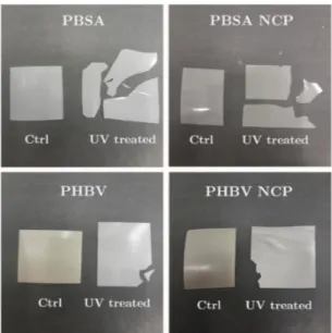 Figure 1. Pictures of the materials before and after accelerated aging.