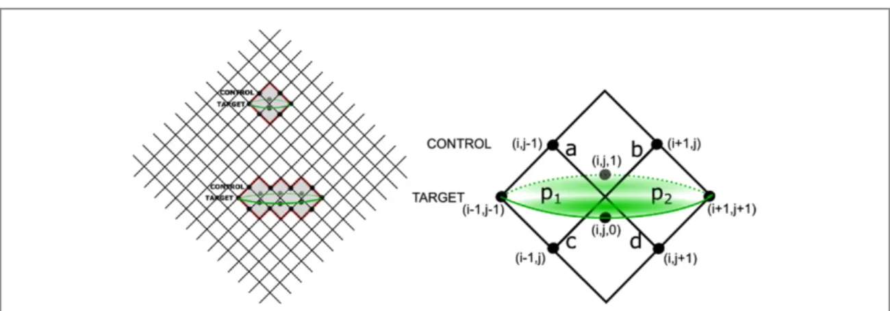 Figure 4. Left: gray CNOT regions in the rotated grid. In a CNOT region terms in the Hamiltonian are modi ﬁ ed in order to execute a CNOT