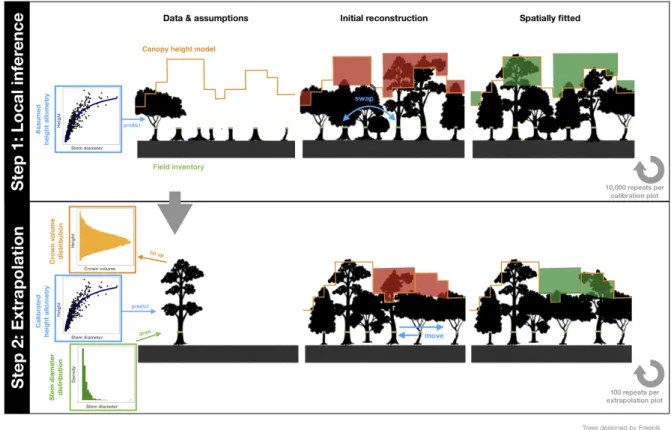 Figure 1: The two-step procedure of the Canopy Constructor algorithm.  Step 1 uses tree inventory 