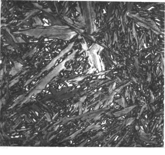 Figure  2.  Tempered  martensitic microstructure of Fe-18.5Ni-.52C  as  treated,  1250X.