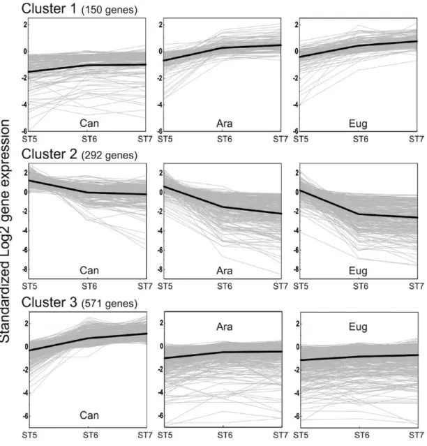 Fig. 4.  Candidate gene clusters related to desiccation tolerance. The standardized log2 of the gene expression is plotted against the developmental  stage of each Coffea species