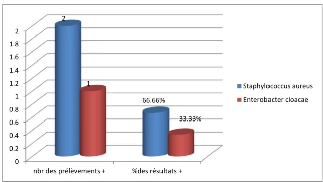 Figure N6 : Répartition des bactéries isolée dans les ECB de pus. 