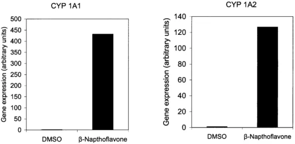 Figure  4-3. Quantitative  real-time  PCR of neonatal  hepatocytes  treated  with 30nM  of f-napthoflavone  or DMSO  as control