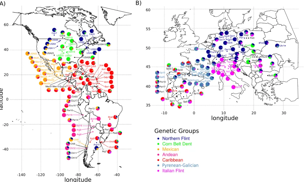 Fig. 2: Spatial genetic structure of American (A) and European (B) maize landraces. Population structure is based on ADMIXTURE analysis with K = 7