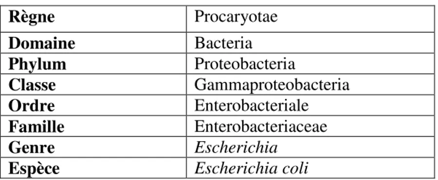 Tableau I : Classification d’Escherichia coli (Boulhbal, 2009). 