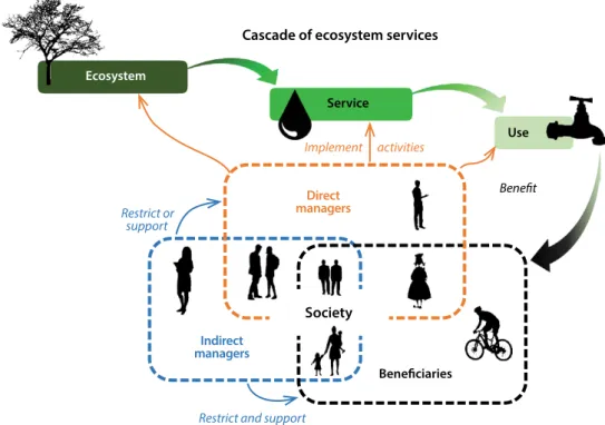 Figure 1. Analytical framework with two forms of ecosystem services management (direct and indirect), which can  occur at three steps of the ecosystem service cascade (ecosystem, service, use).