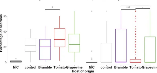 Figure 5. Percentage of necrosis for B. cinerea isolates representative of their host of origin and inoculated on  grapevine and tomato hosts