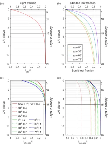 Figure 1. The distribution of light and leaves in the canopy: (a) light distribution in ORCHIDEE trunk; (b) distribution of sunlit and shaded leaves in canopy in ORCHIDEE_DF; and (c) light  ab-sorbed by shaded leaves in each canopy layer under different  s