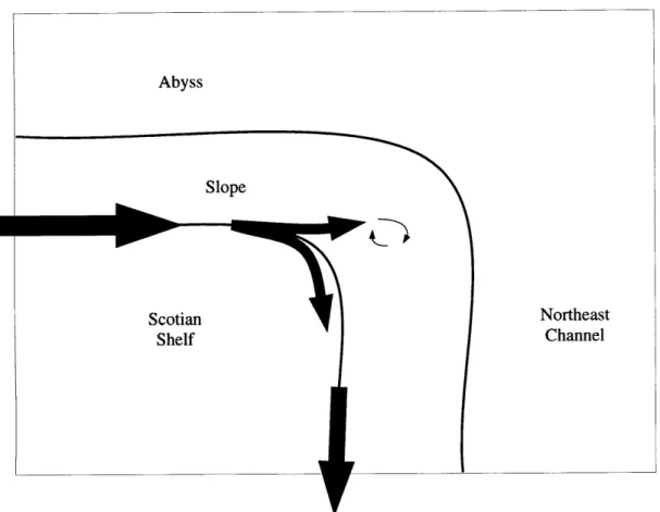 Figure  1.3:  A  schematic showing model topography  representative  of the southwestern Scotian  Shelf