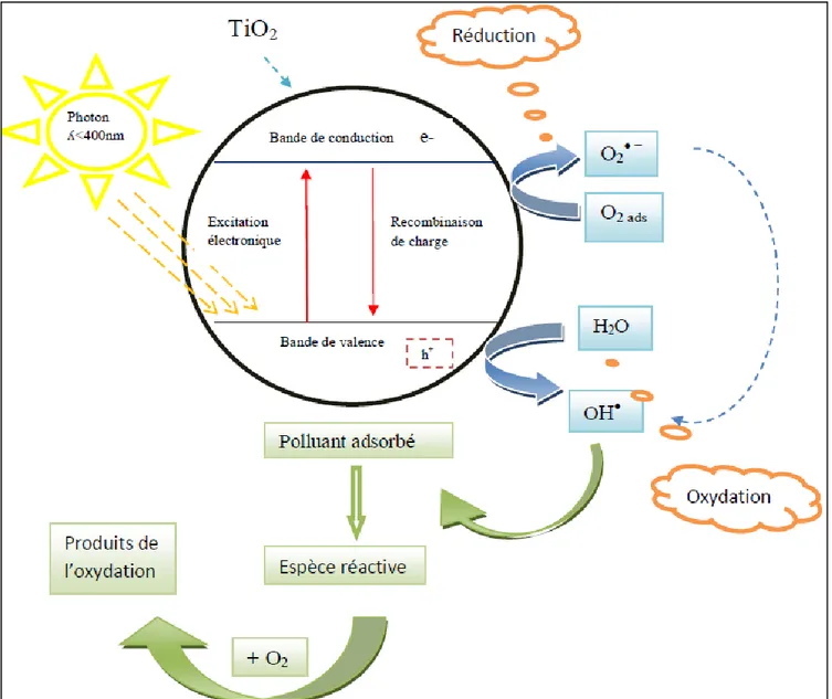 Figure I.5 : Schéma représentatif du principe de la photocatalyse  -  Choix du catalyseur : le dioxyde de titane : 