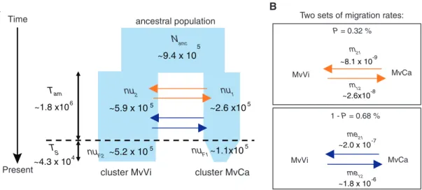 Table 1. Summary of the Three Most Likely Demographic Models of Divergence in dadi between the MvCa and MvVi Microbotryum Genetic Clusters.