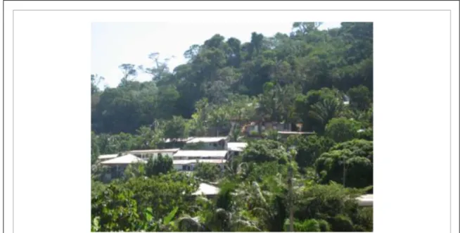 Figure IV. Human encroachment and settlement in forest satellites, here in suburbs of Cayenne, French Guiana, put into contact wildlife and human communities, and also favor the development of mosquito populations transmitting malaria.