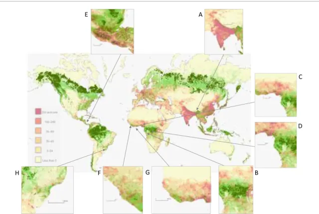 Figure 1. World forested regions, human population density and poverty. Forests areas are indicated with (i) the forest coverage defined in Hansen et al (2013) (Hansen/UMD/Google/USG/NASA ©) in light green, and (ii) the intact forest landscapes (Greenpeace