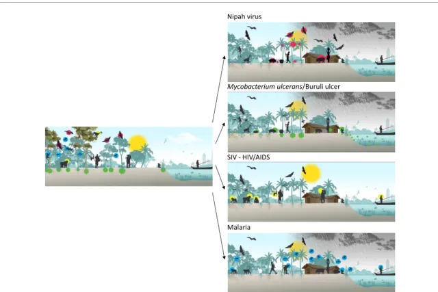 Figure 4. Schematic illustrations of forest-derived infections. The left panel represents a forested pristine environment with colored dots illustrating the distribution of four different emerging infectious diseases (EIDs), naturally present in this type 
