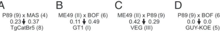 Fig. 1. Schematic of the four Toxoplasma crosses investigated in this study.