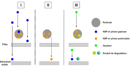 Fig. I.7. Schéma des artéfacts de prélèvement lors d’une collecte par filtration (d’après Goriaux,[19] 