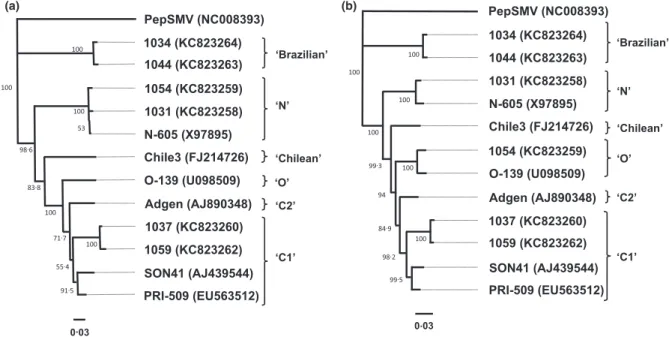 Figure 2 Phylogenetic trees obtained from alignments of the 3 0 P1/5 0 HC-Pro (a) and 3 0 NIb/CP/3 0 UTR (b) PVY sequences