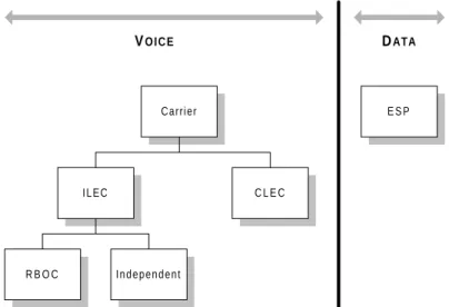 Figure 2.1. Local Access Categories under US Telecommunications Policy